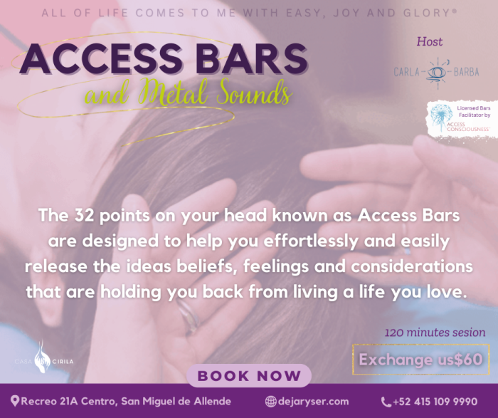 Barras de Access + Baños de Sonido